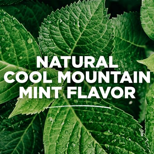 Tom's of Maine Long Lasting Wicked Fresh Mouthwash, Cool Mountain Mint - 16 oz - 2 pk by Tom's of Maine