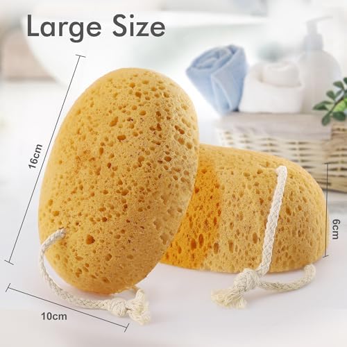 Sponges Shower, 3Pcs Soft Bath Sponges for Women Men, Wash Sponges for Body Face Multipack, Dense Foam for Gentle & Deep Cleansing, Ultra-Soft for Sensitive Dry Skin (Assorted Color Loops)