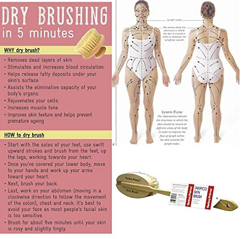 Yerba Prima Tampico Skin Brush for Exfoliation, Dry Brushing, and Blood Circulation with Natural Fiber Bristles and an All-Natural Maple Wood Handle - 1 Brush
