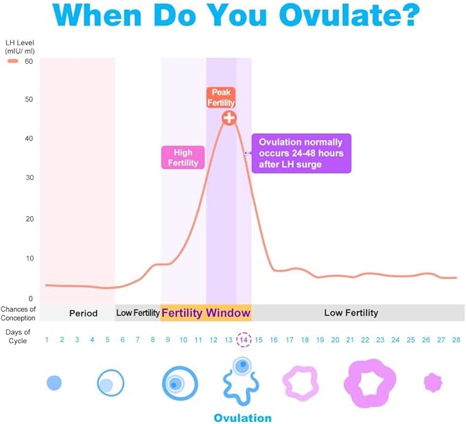 Easy@Home Ovulation & Pregnancy Test Strips Kit: 40 Ovulation Strips and 10 Pregnancy Tests– Accurate Fertility Tracker OPK - Powered by Premom APP | 40LH + 10HCG + 50 Urine Cups