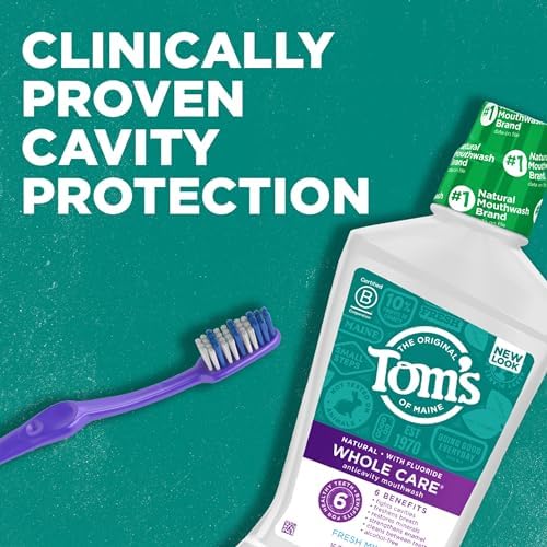 Tom's Of Maine Whole Care Natural Fluoride Mouthwash, Fresh Mint, 16 Oz (Pack of 3) (Packaging May Vary)