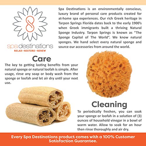 Spa Baby Absorbent Natural Bath Sponge Spa Destinations. Ultra Soft Premium Sea Wool Sponge, Biodegradable, Bath Accessories Baby and Kids, Infant Bath. Two (2) Pack 3-4 inch for Moms