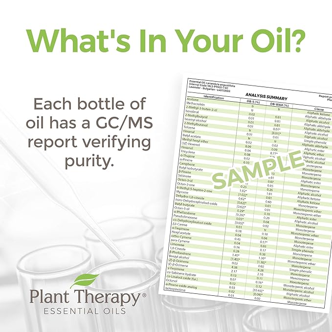 Plant Therapy KidSafe Organic Study Time Essential Oil Blend for Focus, Mind Calming, Concentration Blend for Kids 100% Pure, Undiluted, Natural Aromatherapy, Therapeutic Grade 10 mL (1/3 oz)