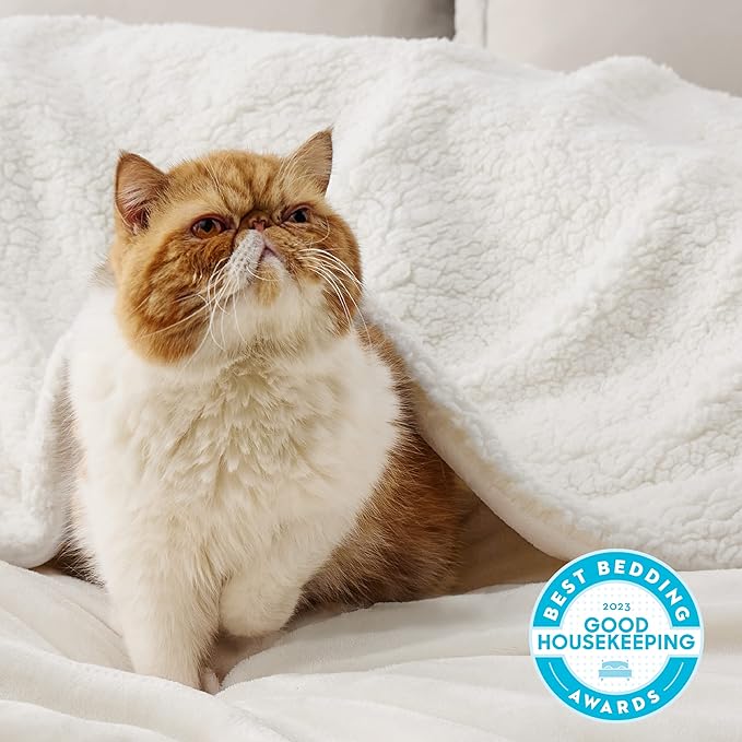 Bedsure Sherpa Fleece Throw Blanket Twin Size for Couch - Thick and Warm, Soft Fuzzy Plush Twin Blanket for Winter, Cream, 60x80 Inches
