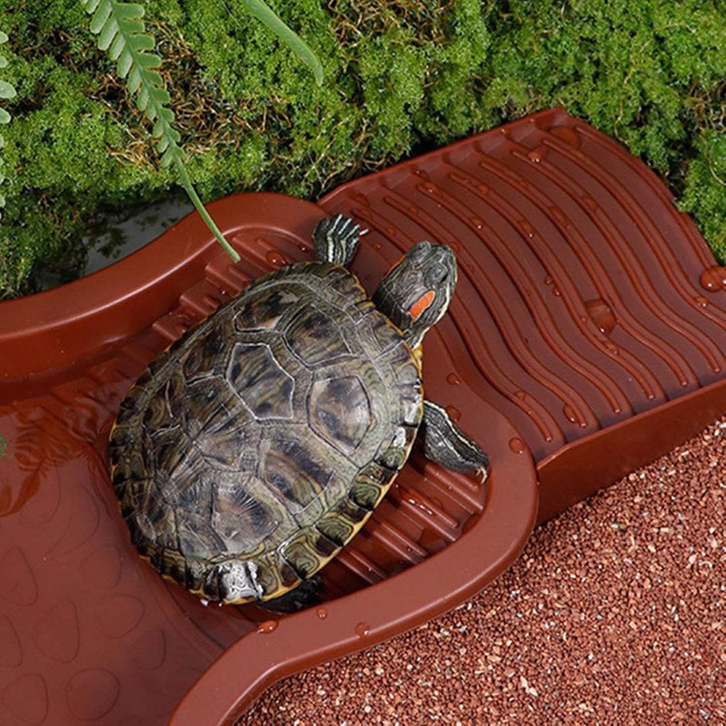 Extra Large Reptile Bathing Pool Reptile Feeding Dish Water Bowl with Ramp Aquarium Ornament for Gecko, Snake, Turtle, Bearded Dragon, Lizard Bath (Brown Red)